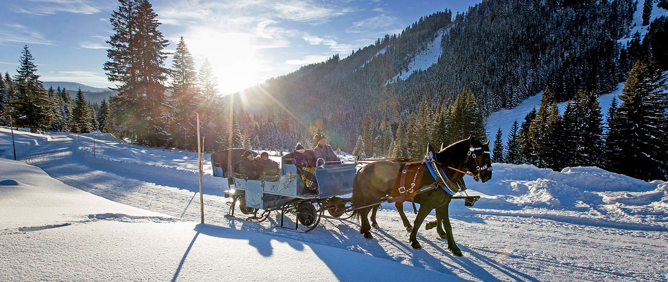 Pferdeschlittenfahrten - Winterurlaub in Filzmoos