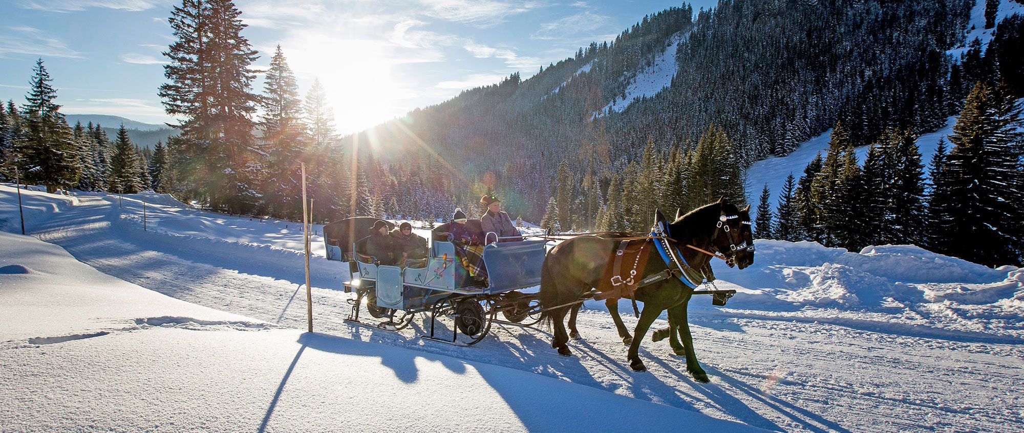 Pfer - Skiurlaub & Winterurlaub in Filzmoos