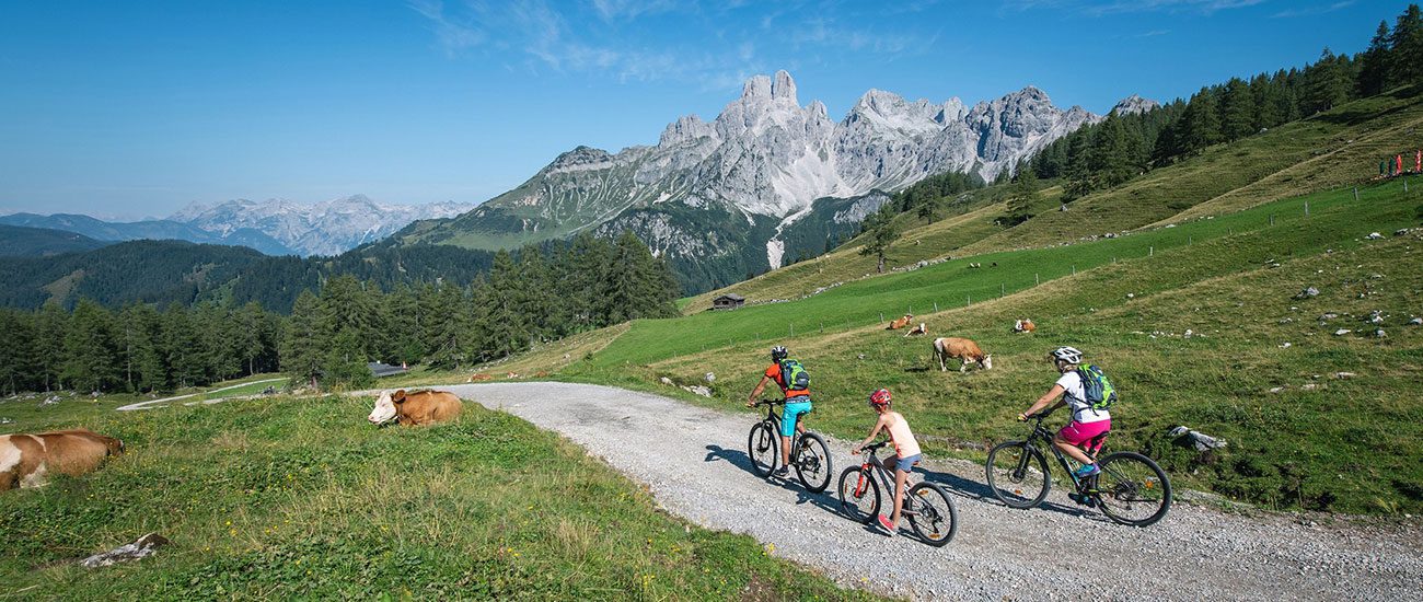 Radfahren - Sommerurlaub in Filzmoos