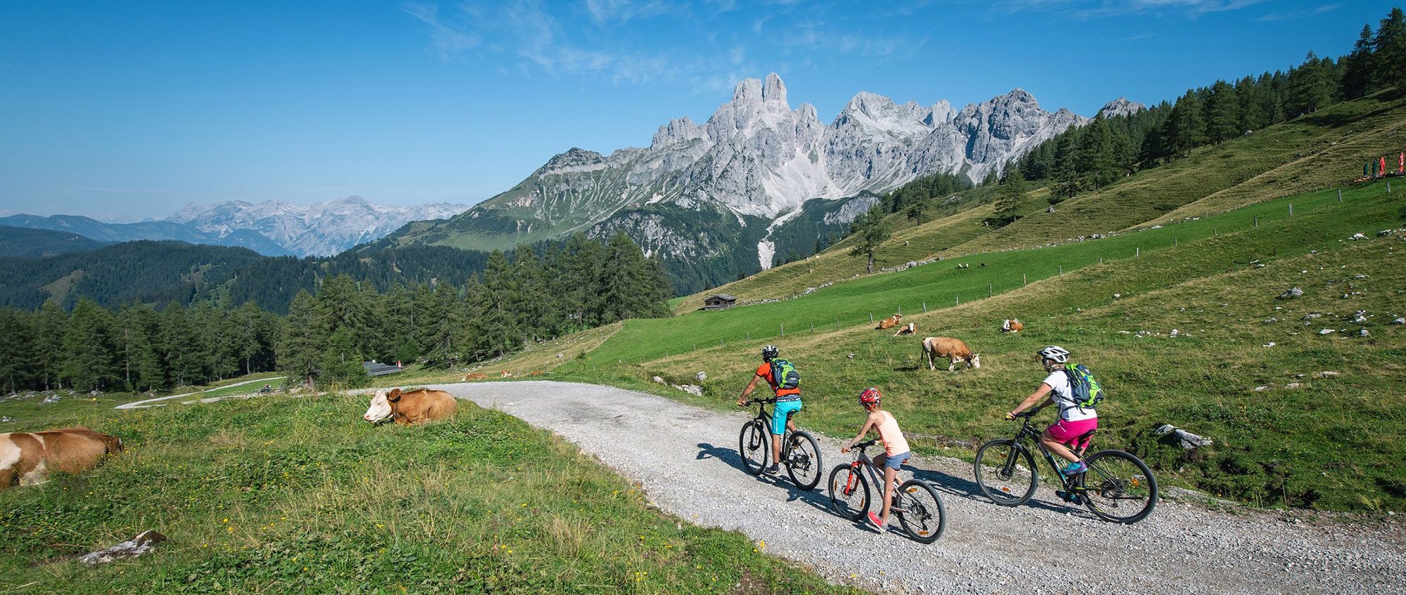 Radfahren - Sommerurlaub in Filzmoos