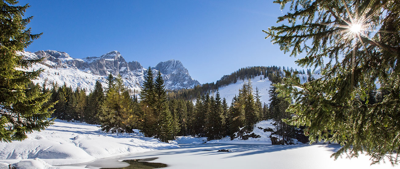 Winterurlaub in Filzmoos, Ski amadé